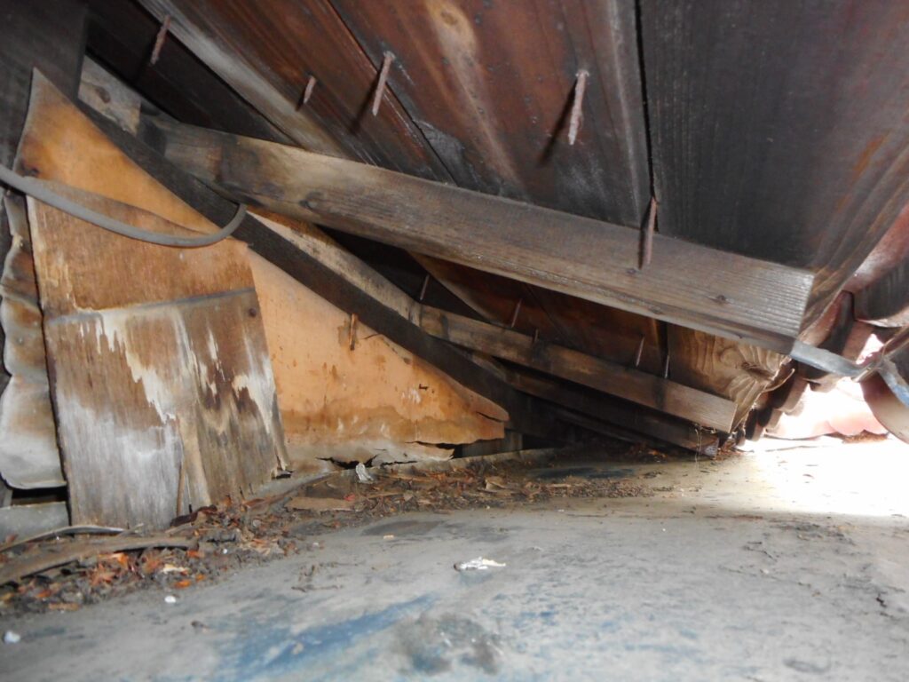 印西市のネズミ駆除にて、屋根の隙間が開いておりネズミが出入り自由な状態