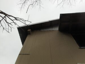 ネズミ侵入ルートである外壁と屋根の隙間