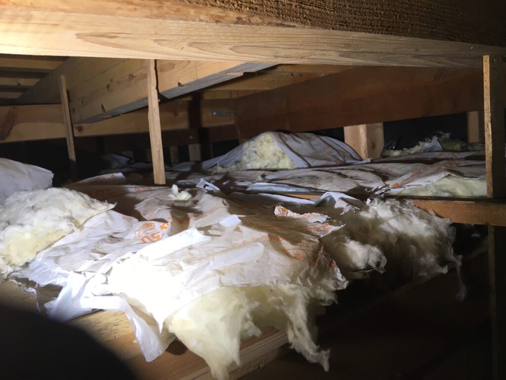 天井裏のネズミによる断熱材の破損