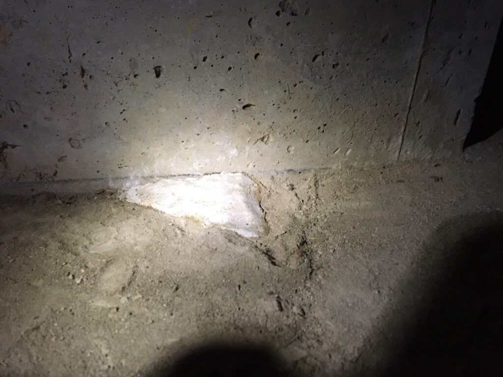 東金市にて床下のネズミ侵入口の穴をモルタルで塞ぐ