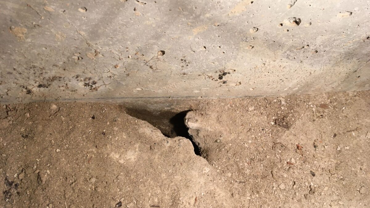 東金市にて床下のネズミ侵入口の穴