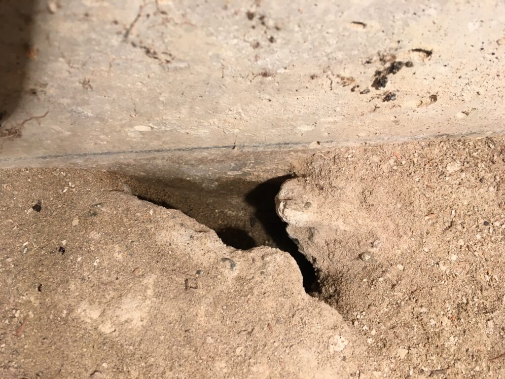 東金市にて床下のネズミ侵入口の穴